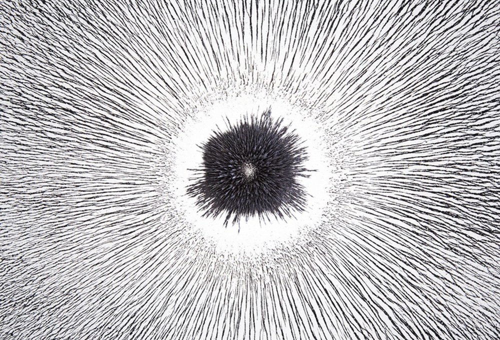Ein Magnetfeld richtet Eisenfeilspäne auf ein Zentrum aus.
Bild: Dimitri Otis